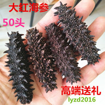 Russian 8-10 years wild sea cucumber 50 grams 50-80 heads Northern four islands 90% dried 6 rows of thorns light dried big red ginseng