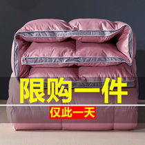 Duvet 95 white goose down winter quilt thickened Winter Spring and Autumn quilt double single student dormitory quilt white duck down