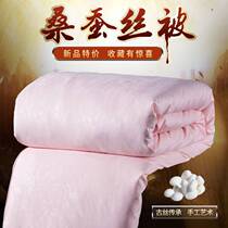 Silk quilt spring and autumn quilt winter thickening winter quilt cotton air conditioning quilt core mother quilt 6 8 10kg