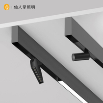 Cactus lighting mounted magnetic track Light Adjustable angle anti-glare led home home without main light living room lighting spotlight