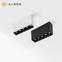 Cactus Lighting LED surface light household strip light wardrobe ceiling lamp long strip kitchen living room lighting