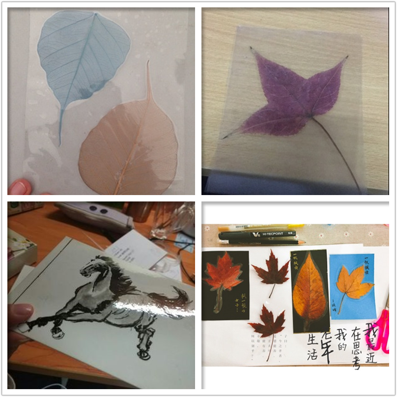 5寸冷裱膜照片标本树叶书签塑封防水护卡DIY