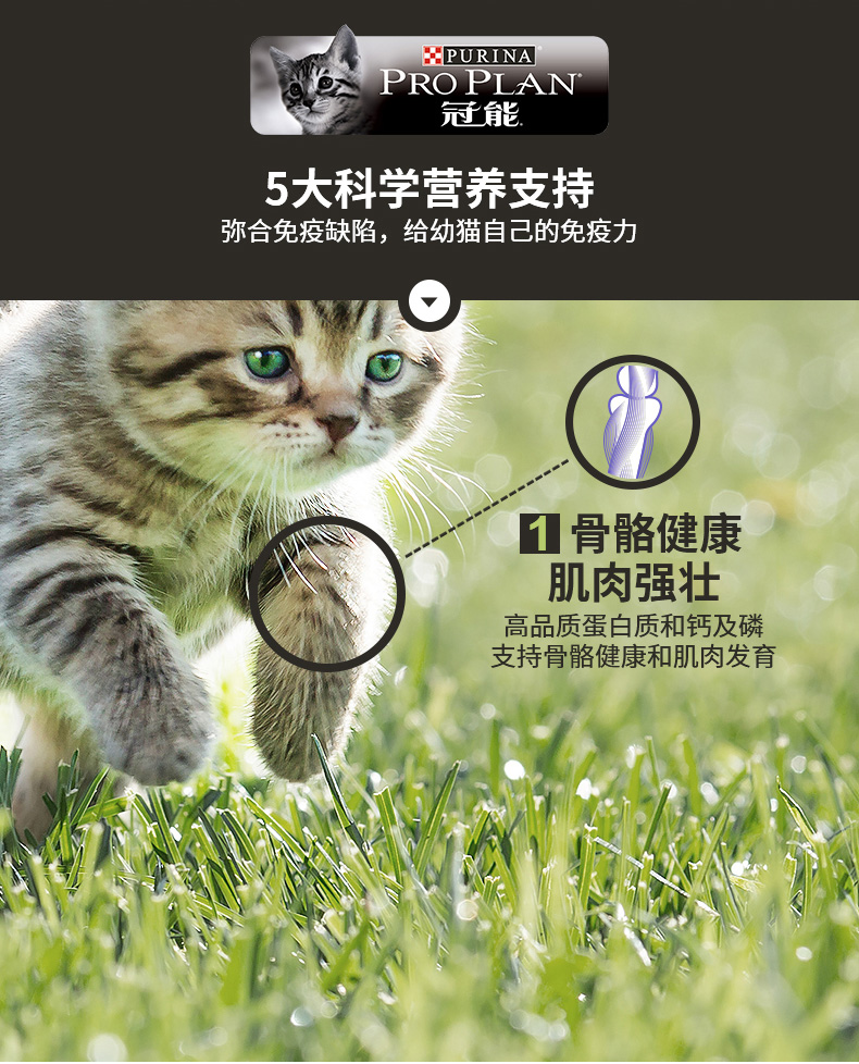 冠能猫粮幼猫猫粮400gX3包添加牛初乳1-12个