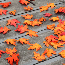 Simulated Red Maple Leaf Fake Leaf Fall Fall Leaf Showcase Wedding Decoration Leaf Ginkgo Leaf Prop