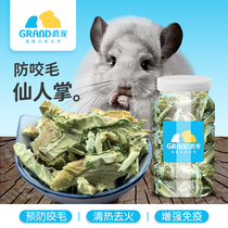 Cactus dry treatment of chinchilla biting hair beauty hair trace elements heat-clearing and fire-removing health nutrition supplementary food 100g