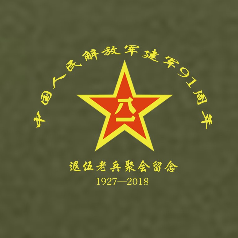 八一建军节t恤定制战友聚会纪念文化衫参战退伍老兵爱国短袖衣服