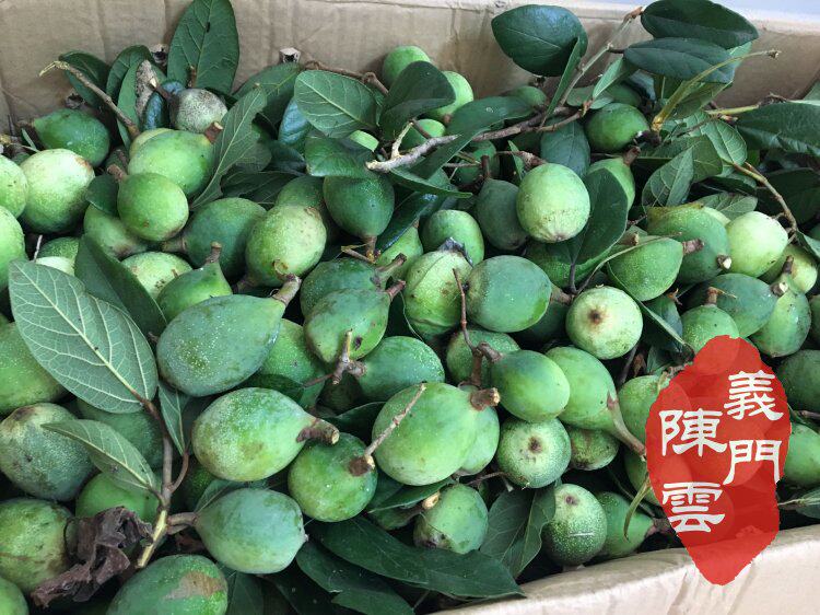 解暑包邮 550g江西庐山特产薜荔果干籽 手搓凉冰粉爱玉籽木莲豆腐