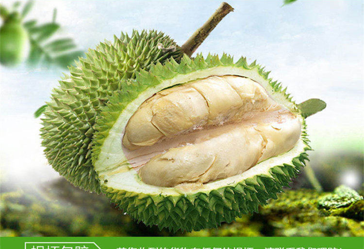 泰国进口榴莲猫山王榴莲新鲜进口水果干尧长柄金枕头现摘现发包邮_7折