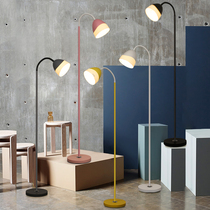 Floor lamp led Nordic macaron creative fishing lamp living room bedroom study modern simple vertical table lamp