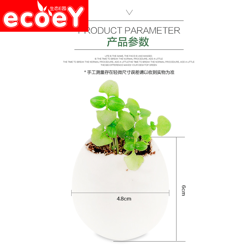 ECOEY 小盆栽室内盆栽创意绿植办公桌植物迷你小植物桌面植物包邮产品展示图4