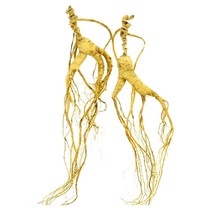 Forest ginseng wild ginseng wild ginseng mountain ginseng Changbai Mountain gift box fresh forest ginseng wild national inspection high-grade ginseng