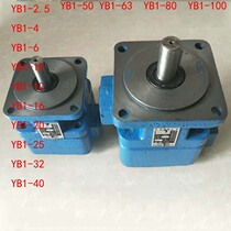 Vane pump YB1-10 YB1-25 YB1-32 YB1-40 YB1-50 YB1-63 YB1-100