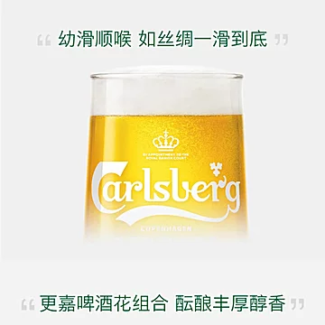 【Carlsberg嘉士伯】啤酒醇滑500ml*24罐[30元优惠券]-寻折猪