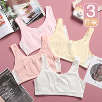 9 Girls underwear 8 small vest pure cotton 12 developmental stage 15-year-old junior high school primary school girl bandeau girl middle and large child