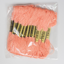 Cross stitch 3824 thread number 10 pieces of 8 meter 6 strands of complementary thread sockliner embroidery staple cotton thread