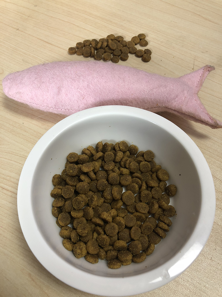 有了这款猫粮,还用怕爱猫营养健康双掉线12