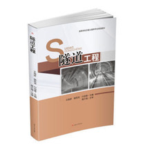 Genuine New Book Tunnel Project Wang Haiyan Luo Xianlong Fu Yingchun Southwest Jiaotong University 9787564347758