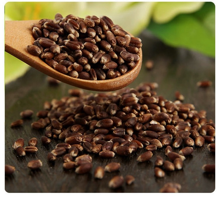 富硒黑小麦米 黑麦仁熬粥五谷杂粮500g 5斤包邮可做种子麦子紫麦