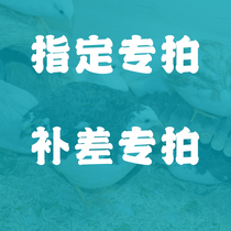 The cute series postage price difference is special to make a bear