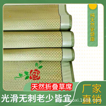 Langrass Mats Thickened Encrypted Mat 0 9 1 2 1 1 35 1 4 1 1 5 1 8m Metre Double Bed Foldable