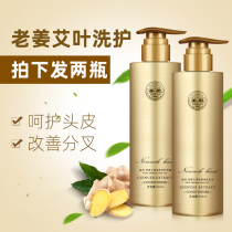 Ginger Jun Lao Jiang Wang ginger shampoo conditioner old ginger juice moisturizing shampoo for men and women nourish scalp hair care
