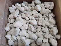 Qiqi Longmao Beizun Baiyun rodents have no natural molars 75 yuan a catty