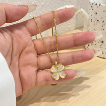 Cat Eye Stone Four Leaves Grass Necklace Woman Light Extravagant Design Sensation Superior Temperament Brief South Korea East Great Door Lock Bone Chain