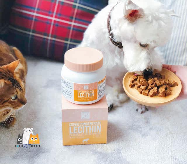 Z-PET Pet Dog Collagen Peptide Ejiao Lecithin To Tear Mark Bright Hair Beauty Hair Skin Care Health Snack Z-PET Pet Dog Collagen Peptide Ejiao Lecithin To Tear Mark Bright Hair Beauty Hair Skin Care Health Snack