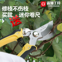 Tyrant Lion Garden Scissors Cutting Tree Branches Scissors Fruit Tree Coarse Branches Cutting Flower Art Scissors Home Pruning Scissors