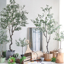 Nordic wind green plant simulation olive tree Eucalyptus potted plant floor large bonsai interior decoration living room fake plant 25