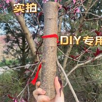Peach hairpin peach stick wild old peach tree peach branch peach branch peach blossom branch authentic peach log carving