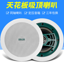 Home decoration waterproof coaxial with treble top speaker stereo background music ceiling speaker home audio