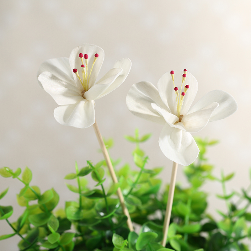 宜芬 无火香薰精油配件 挥发藤条干花通草花产品展示图1