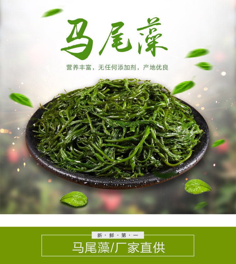 荣成野生盐渍马尾藻鞭炮笋长寿菜海藻非海带头裙带梗凉拌涮锅包邮
