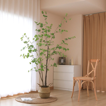 Nordic Simulation Green Planting Indoor Japan Hanging Bell False Tree Simulation Tree Horse Drunken Wood Living Room With Floor Pendulum Decoration Potted Plant