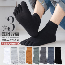 Five Fingers Socks Male Summer Style Slim Midbarrel Socks Pure Cotton Deodorant Division Toe Socks Breathable Toe Socks Mens Stockings Stockings Summer