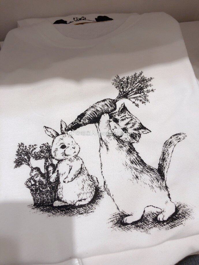 franche lippee 超可爱的萌化的这个猫猫.