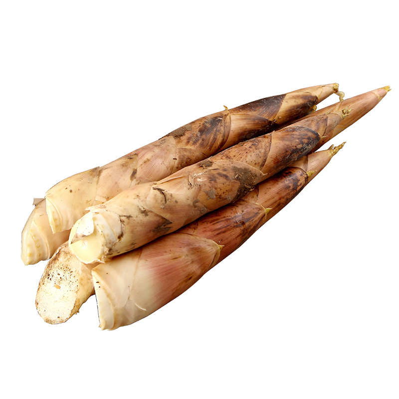 溪口龙思笋5斤装新鲜农产品竹笋新鲜蔬菜奉化春笋