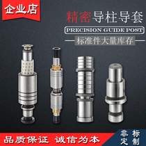 Precision Guide Post guide sleeve inner guide post SUJ2 plastic hardware mold guide post spot non-standard custom stamping independent ordinary