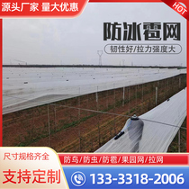 Anti-hail net Apple orchard anti-hail net Vineyard anti-hail net Factory direct sales anti-hail net Orchard anti-bird net