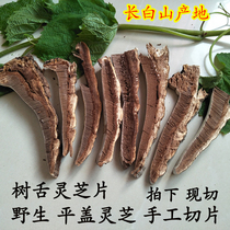 Long white Mountain wild Tree tongue Lucid Lucid sheet Pinggai Glossy Glossy sheet Artisanal Sliced Wild Lingzhi sheet Tongue Lingzhi