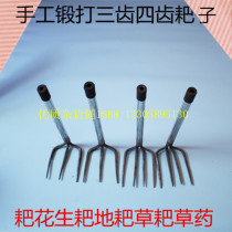 Three-tooth rake grappling hook nail rake agricultural tools small iron rake agricultural rake mud rake loosening soil rake Zhaozi four-tooth iron bag