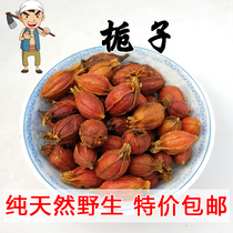 Taihang Mountain Wild Gardenia 500g Wild Pure Natural Chinese Herbal Tea