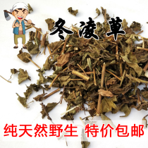 Taihang Mountain wild Dongling Grass 500g Dongling Tea Dongling magic Tea Wild Dongling Grass Chinese Herbal medicine