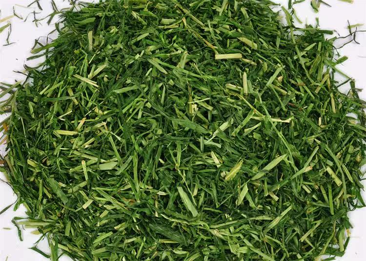 嫩绿清香大麦草段出口特级大麦草段增强体质调理肠胃均衡营养1斤