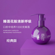 Little dome amino acid water lily press toothpaste whitening gingival toothpaste fresh to breath halitosis 230g