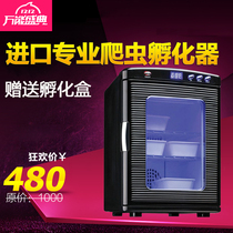 Small turtle egg automatic hatching machine Reptile incubator Lizard incubator Turtle egg incubator box