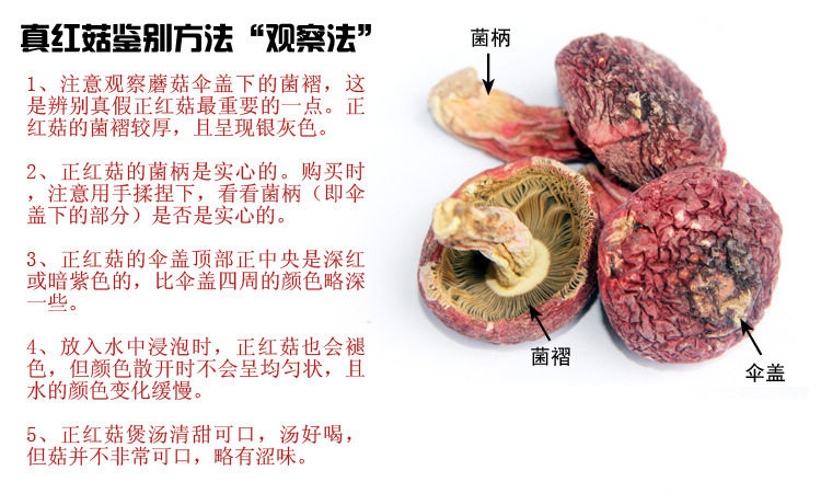 2018农家直销武夷山特产野生正宗红菇香菇干货蘑菇中菇特级250g