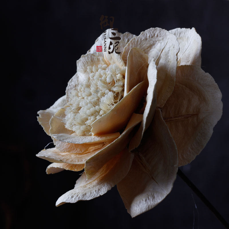 干花玉美人白玉牡丹精品干花手工制作花材旅游纪念家居软装