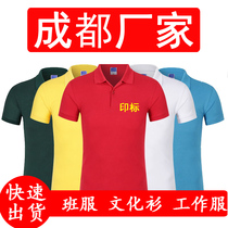 Advertising shirt cultural shirt custom DIY custom short sleeve lapel T-shirt polo shirt overalls printing logo